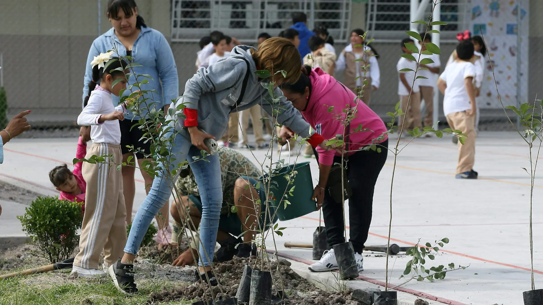 medioambiente (1)